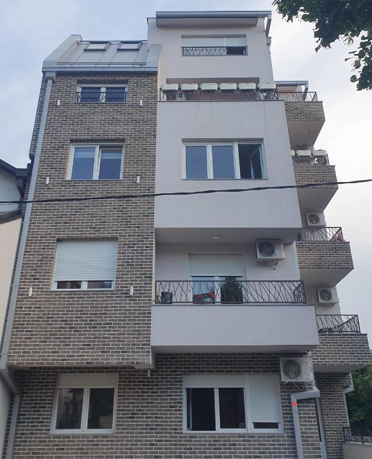 Apartament Porodicno-Poslovni Udoban Stan Belgrad Zewnętrze zdjęcie
